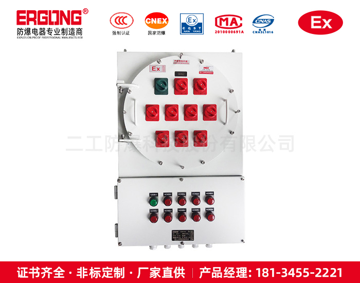 防爆配電箱-14