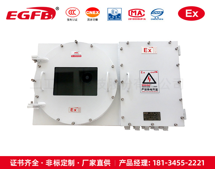 特殊定制碳鋼IIC級(jí)防爆配電箱