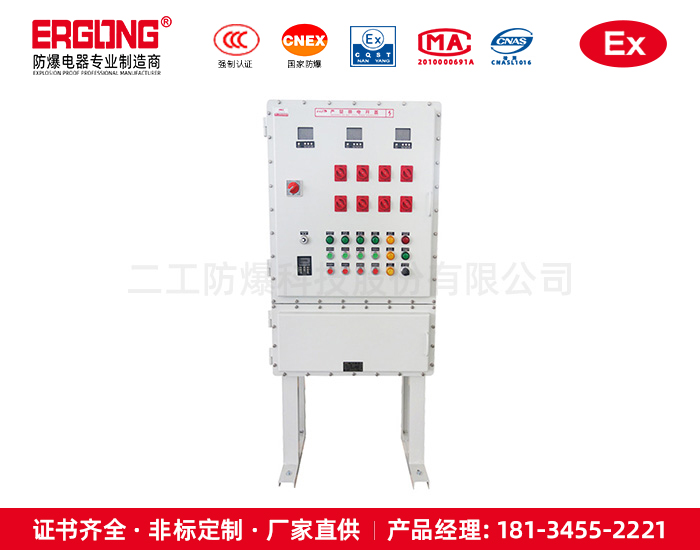 防爆控制箱（柜）-8
